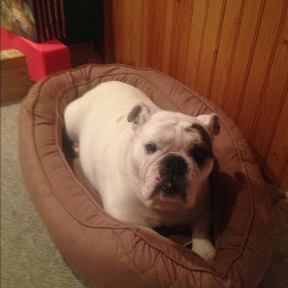 Meet your Posher, N - Picture 1 of 1